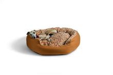 Load image into Gallery viewer, Crum-pet bed
